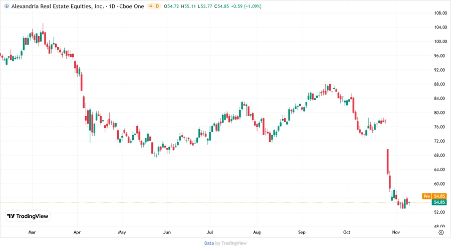 Stock Price Development