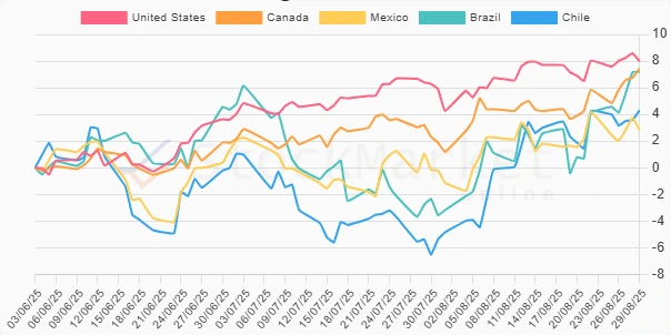 Monthly Performance Chart