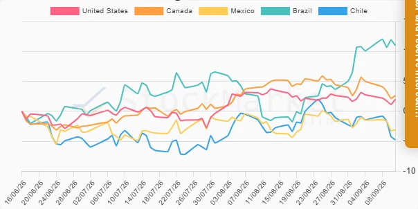 Monthly Performance Chart