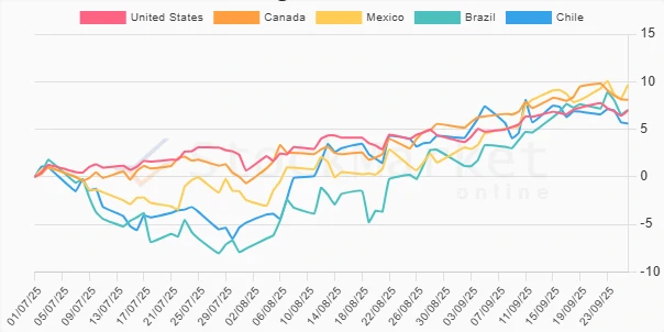 Monthly Stock Performance Chart