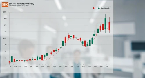 BDX Company Overview
