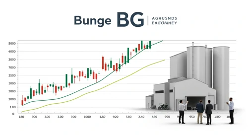 BG: Dividend Analysis - Bunge Global SA