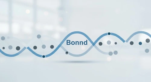 Bonds Comparison. 08 Jan
