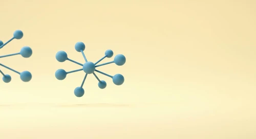 Bond Performance Analysis