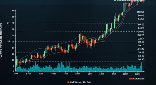 CME: Fundamental Ratio Analysis - CME Group Inc