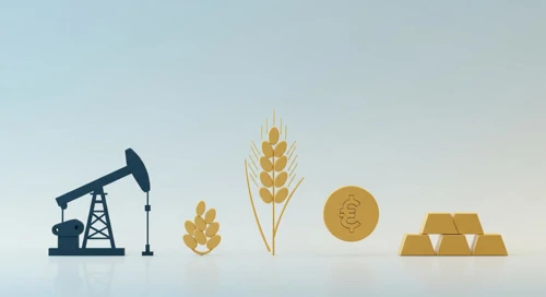 Commodities Overview