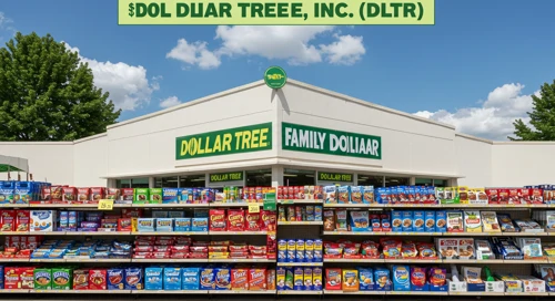 DLTR: Fundamental Ratio Analysis - Dollar Tree Inc