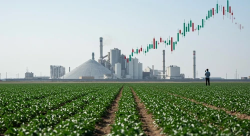 MOS: Dividend Analysis - The Mosaic Company