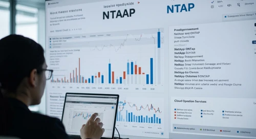 NTAP: Dividend Analysis - NetApp Inc