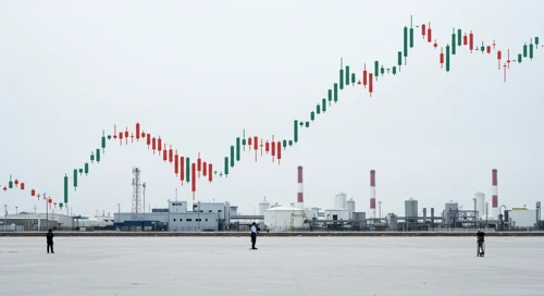 OXY: Dividend Analysis - Occidental Petroleum Corporation