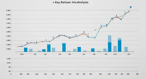 RCL: Fundamental Ratio Analysis - Royal Caribbean Cruises Ltd