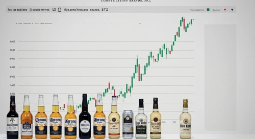 Constellation Brands, Inc. Overview