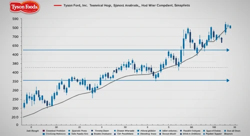 TSN: Fibunacci Level Technical Analysis - Tyson Foods Inc
