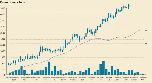 Tyson Foods, Inc. (TSN) Stock Analysis
