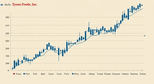 TSN: Trend with Support and Resistance Levels - Tyson Foods Inc