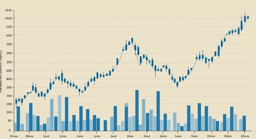 Tyler Technologies, Inc. Stock Analysis